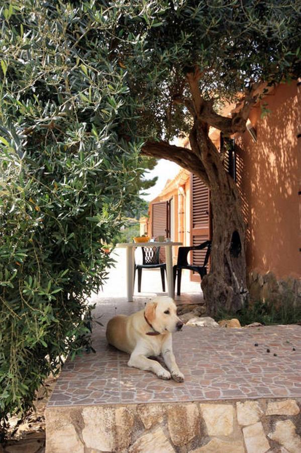 Le Terrazze Su Fraginesi Apartment Castellammare del Golfo Exterior photo